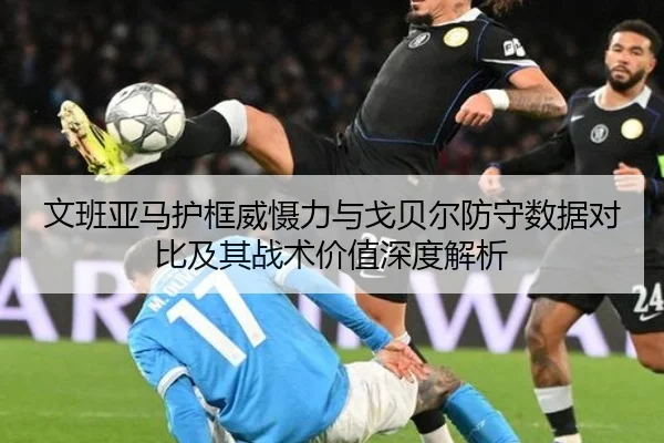 文班亚马护框威慑力与戈贝尔防守数据对比及其战术价值深度解析